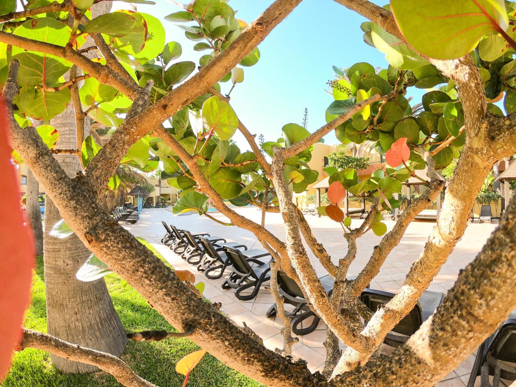 Drago 1 Atlantic Garden Apartment Коралео Екстериор снимка